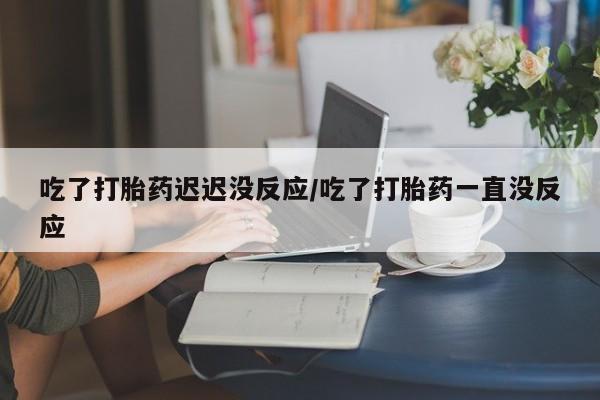 药流药购买联系吃了打胎药迟迟没反应/吃了打胎药一直没反应