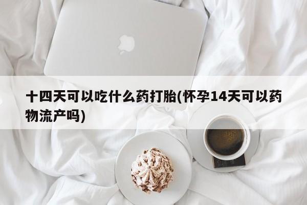药流药购买联系十四天可以吃什么药打胎(怀孕14天可以药物流产吗)